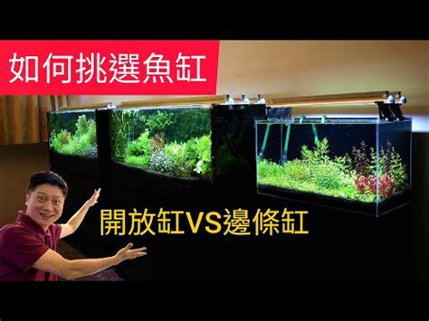 魚缸 大小|【常見魚缸尺寸】水族新手選魚缸指南：避開常見尺寸。